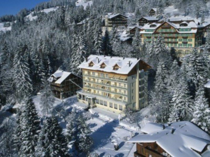 Wengener Hof Hotel 4*